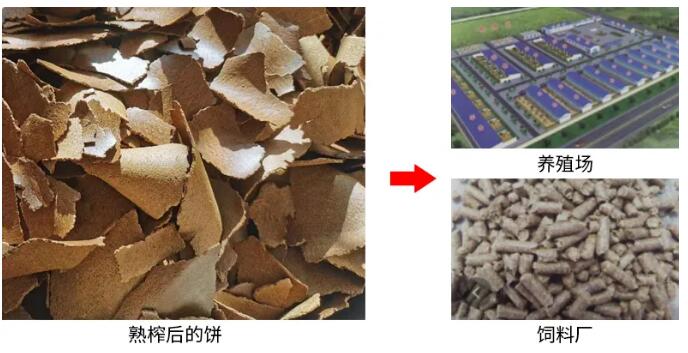 5f7e7a48ed4b6.jpg 4.jpg